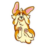 Corgeous WhatsApp Sticker #12