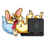 Corgeous WhatsApp Sticker #13