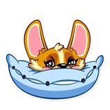 Corgeous WhatsApp Sticker #14
