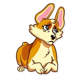 Corgeous WhatsApp Sticker #16