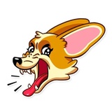 Corgeous WhatsApp Sticker #17