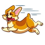 Corgeous WhatsApp Sticker #18