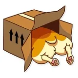 Sticker 19