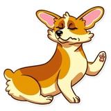 Corgeous WhatsApp Sticker #21