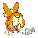 Corgeous WhatsApp Sticker #23