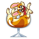 Corgeous WhatsApp Sticker #24