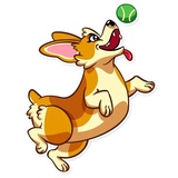 Corgeous WhatsApp Sticker #25