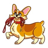 Corgeous WhatsApp Sticker #26