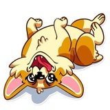 Corgeous WhatsApp Sticker #27