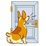 Corgeous WhatsApp Sticker #28