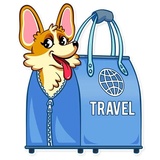 Corgeous WhatsApp Sticker #30