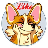 Corgeous WhatsApp Sticker #4