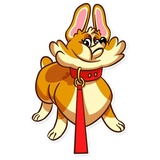 Corgeous WhatsApp Sticker #9
