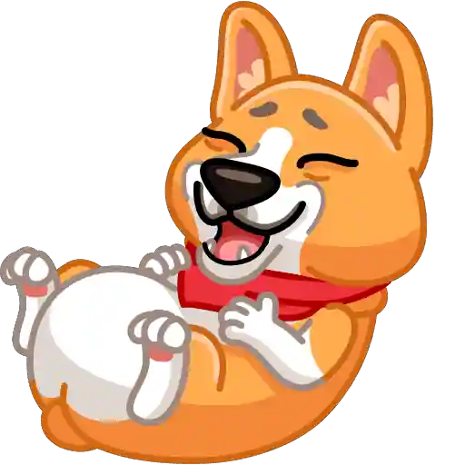 Muffin the Corgi