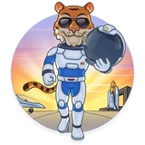 Cosmic Tiger WhatsApp Sticker #11