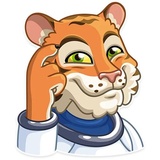 Cosmic Tiger WhatsApp Sticker #21