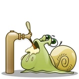 Snailo WhatsApp Sticker #8