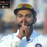 Cricket WhatsApp Sticker #11