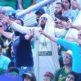 Cricket WhatsApp Sticker #13