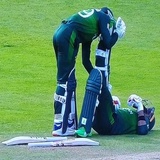 Cricket WhatsApp Sticker #16