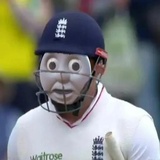 Cricket WhatsApp Sticker #27