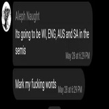 Cricket WhatsApp Sticker #30