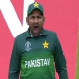 Cricket WhatsApp Sticker #6