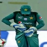 Cricket WhatsApp Sticker #8