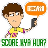 Cricket Fan and Words WhatsApp Sticker #13