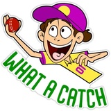 Cricket Fan and Words WhatsApp Sticker #2