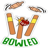 Cricket Fan and Words WhatsApp Sticker #30