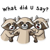 Criminal Raccon WhatsApp Sticker #17