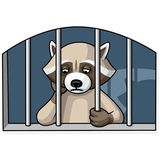Criminal Raccon WhatsApp Sticker #18