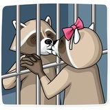 Criminal Raccon WhatsApp Sticker #2