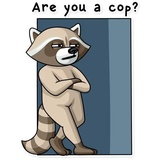 Criminal Raccon WhatsApp Sticker #22