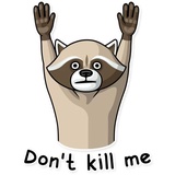 Criminal Raccon WhatsApp Sticker #23