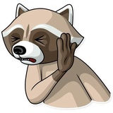 Criminal Raccon WhatsApp Sticker #26