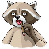 Criminal Raccon WhatsApp Sticker #28