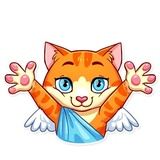 Cupid Cat WhatsApp Sticker #5