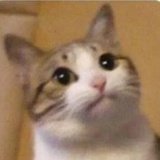 Customized WhatsApp Sticker #11