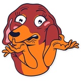 Dachshund Jones WhatsApp Sticker #10