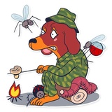 Dachshund Jones WhatsApp Sticker #20