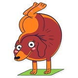 Dachshund Jones WhatsApp Sticker #22