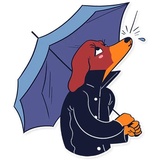 Dachshund Jones WhatsApp Sticker #25