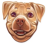 Dog it WhatsApp Sticker #11