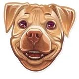 Sticker 11