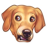 Dog it WhatsApp Sticker #12