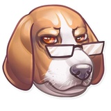 Dog it WhatsApp Sticker #13