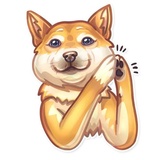 Dog it WhatsApp Sticker #15