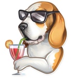 Dog it WhatsApp Sticker #16